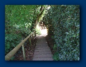 The way to Chris. We are near his home